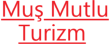 muş mutlu turizm